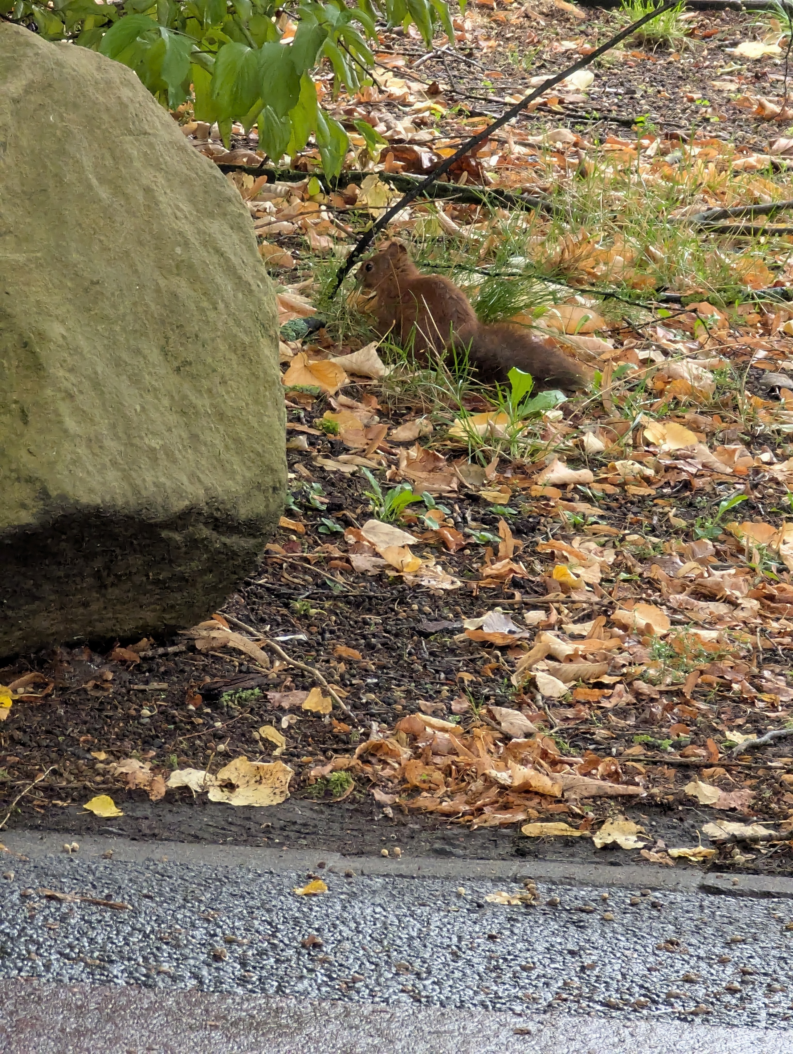 Botonic Gardens, Muenster, Germany